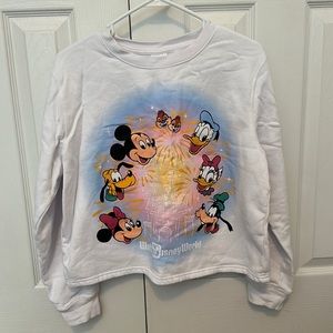 2023 Walt Disney World Fantasyland Cropped Sweatshirt - Large